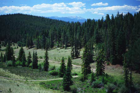 Cochetopa Pass