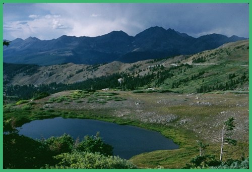 Collegiate Wilderness from top of Cottonwood
          Pass - Colorado