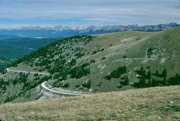 noeth side of
                                  Cumberland Pass Road