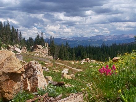 Douglass City, ghost town on east side
                  of Hagerman Pass