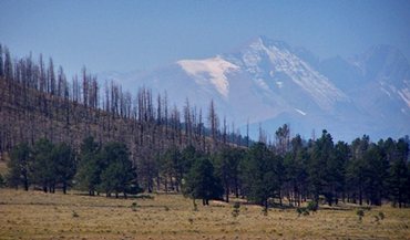 Sangre de
                                      Cristo Range from Hardscrabble
                                      Pass