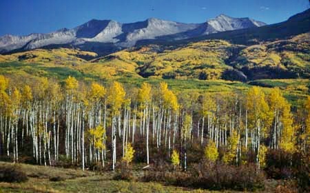 Kebler Pass
                        with fall colors