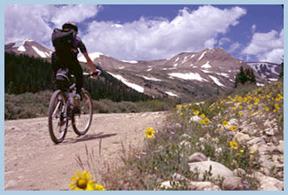 starting a ride up the east
                                    side of Mosquito Pass