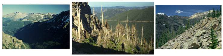 Trail Ridge Road by bicycle