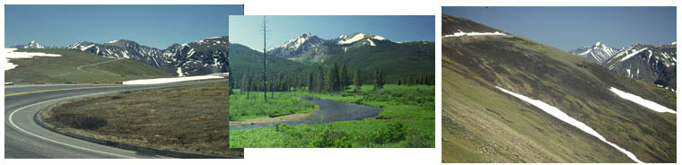 Trail Ridge Road by bicycle