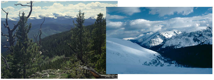 Trail Ridge Road by bicycle