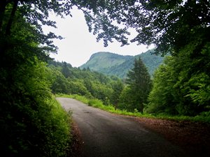 Col de
                              l'Arpettaz