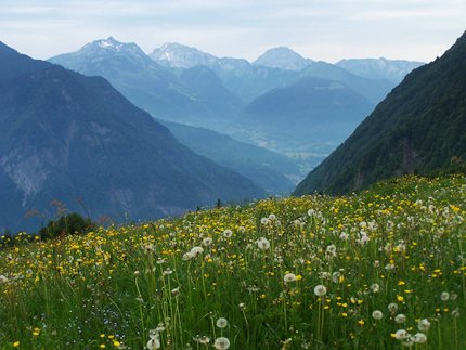 Col de l'Arpettaz