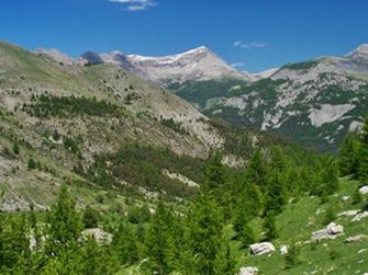 Col des Champs