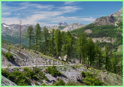 Col des Champs