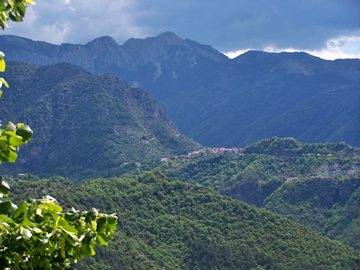 La
                                              Tour from Tournefort