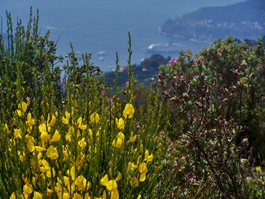 Col d'Eze: summit