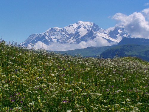 Mont Blanc from top of Col des Saises