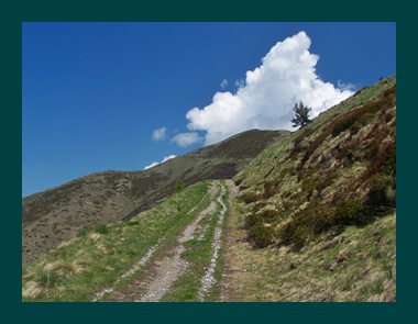 Via de Sale, single track towards summit