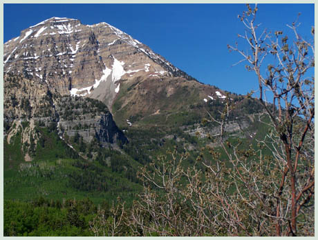 Mount Timpanogos from
                        Alpeine Loop Road summit(u)