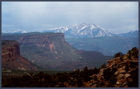 La Sal Mountains from west of Kokopelli
                        Trail summit m88