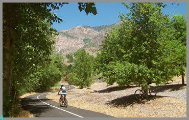 bike trial below North Ogden Cayon