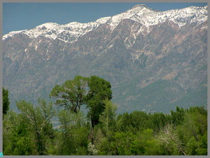 looking towards Willard Peak and North Ogden Pass